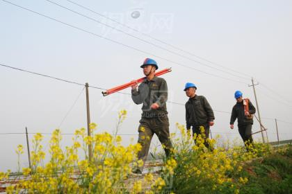 1503538356598296.png image.png