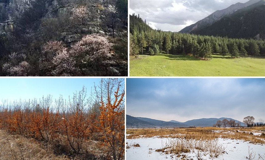 林業(yè)巡檢 林業(yè)巡檢