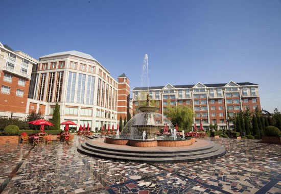 1616574558220273.jpg 1616574558220273.jpg